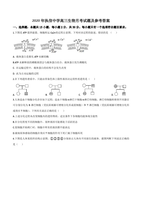 2020年执信中学高三生物月考试题及参考答案