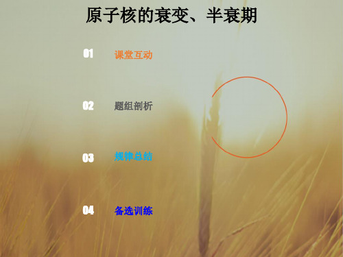 2019版总复习高中物理课件:第十二章 波粒二象性 原子结构和原子核12-2-2-考点强化:原子核的