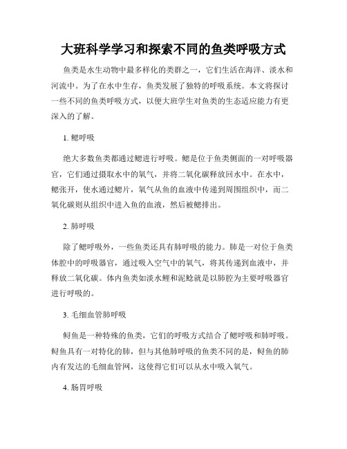 大班科学学习和探索不同的鱼类呼吸方式