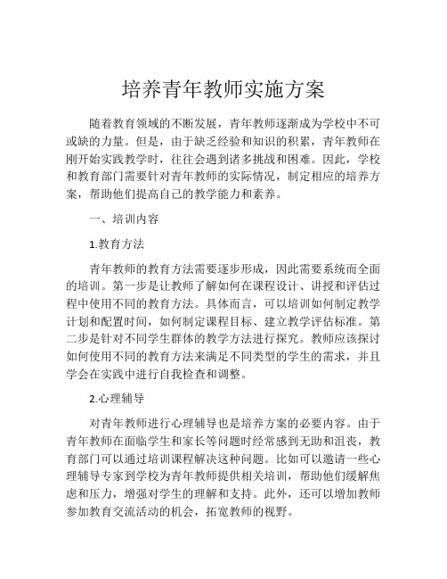 培养青年教师实施方案