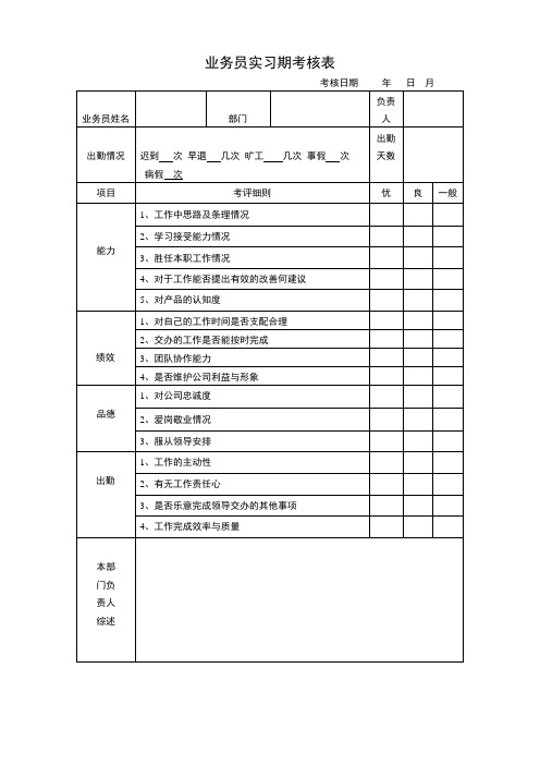 业务员实习期考核表