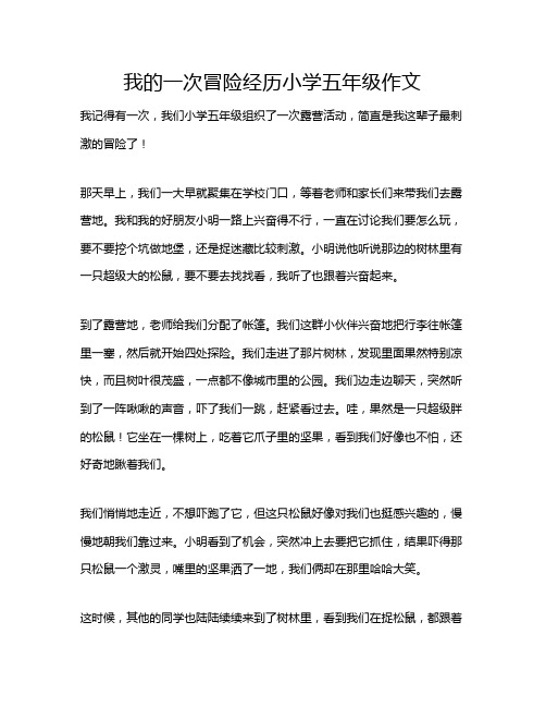 我的一次冒险经历小学五年级作文