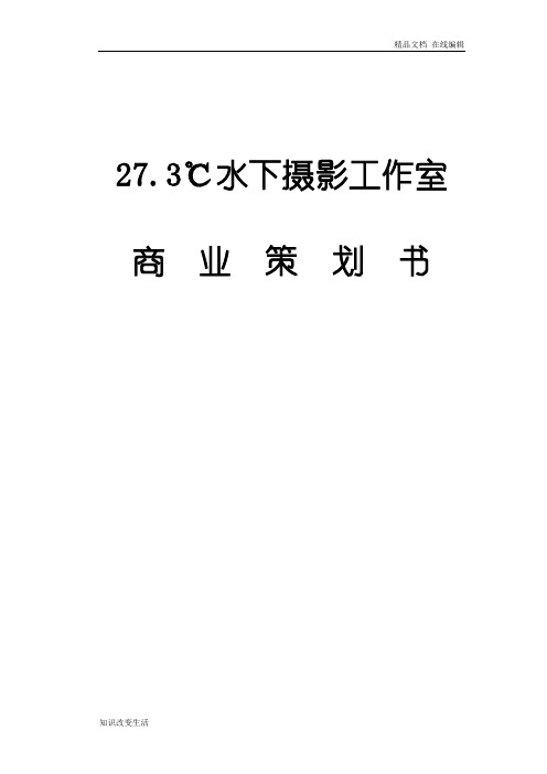 27.3℃水下摄影工作室商业策划书(可打印版)