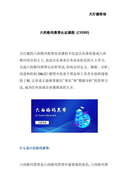 六西格玛黑带认证课程 (CSSBB)