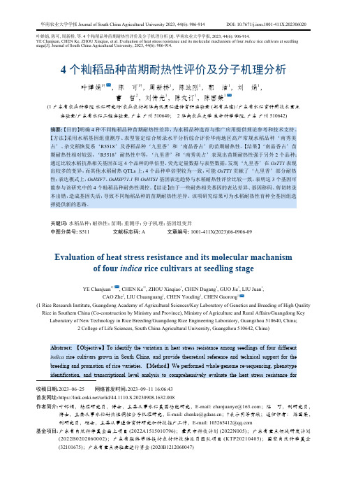 4_个籼稻品种苗期耐热性评价及分子机理分析