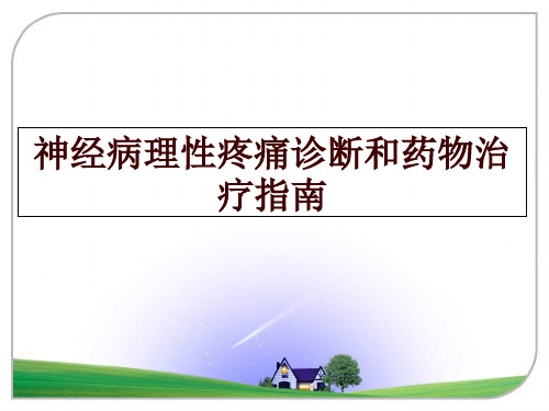 最新神经病理性疼痛诊断和药物治疗指南PPT课件