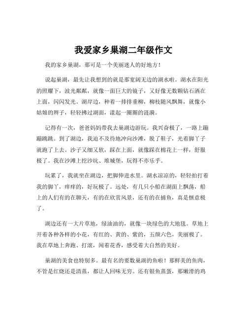 我爱家乡巢湖二年级作文