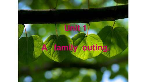 六年级英语下册课件-Unit 1 A family outing（61）-湘少版