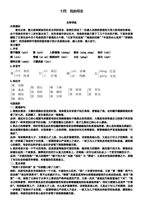 八年级上册语文苏教版导学案：十四我的母亲