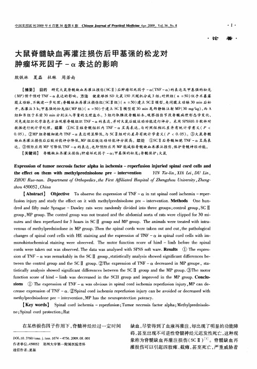 大鼠脊髓缺血再灌注损伤后甲基强的松龙对肿瘤坏死因子-α表达的影响