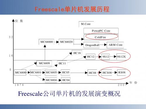 1 MC9S12单片机的内核及片上资源