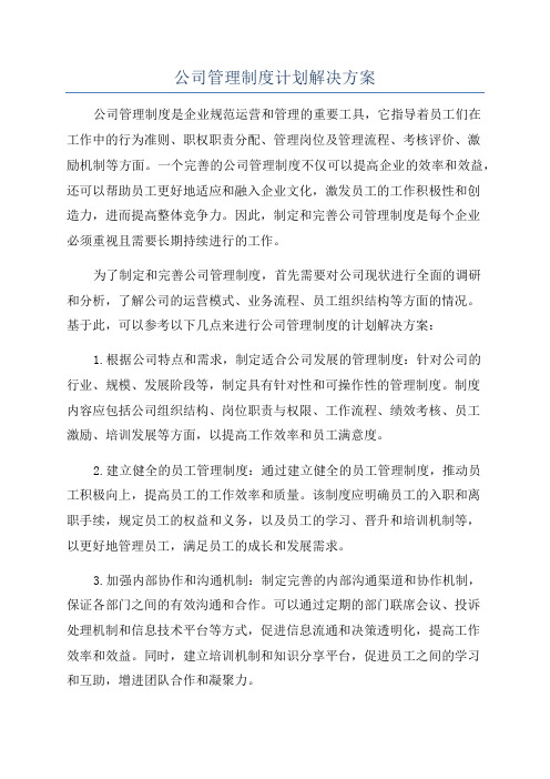 公司管理制度计划解决方案