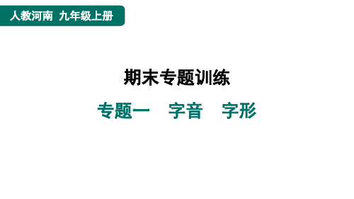 九年级语文上册专题一 字音 字形作业