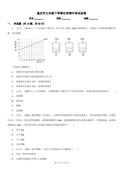 重庆市九年级下学期化学期中考试试卷