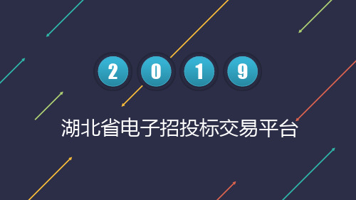 湖北省公共资源交易中心2019招标代理及投标人培训