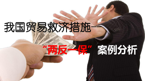 两反一保案例分析资料PPT课件