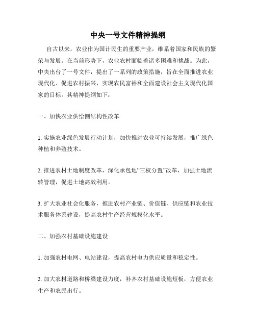 中央一号文件精神提纲