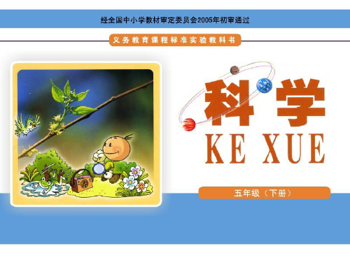 五年级下册科学课件-1.3电磁铁的磁极-湘科版(共18张PPT)