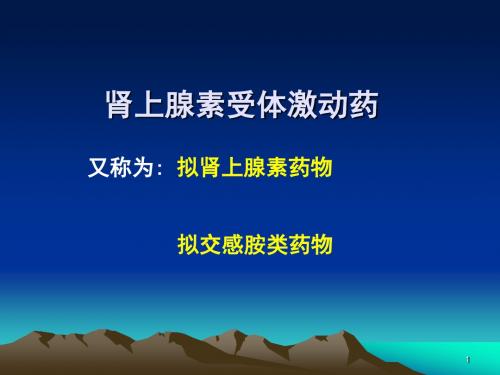 异丙肾上腺素PPT演示课件