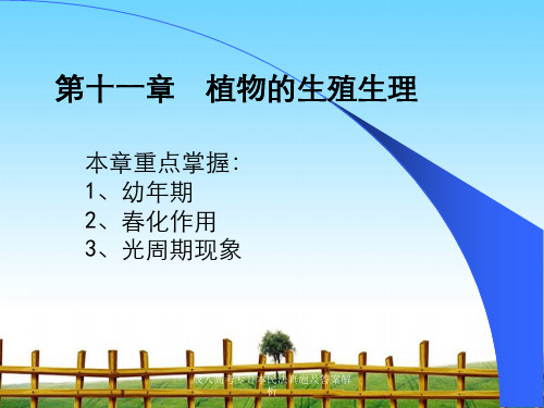 成人高考专升本民法真题及答案解析