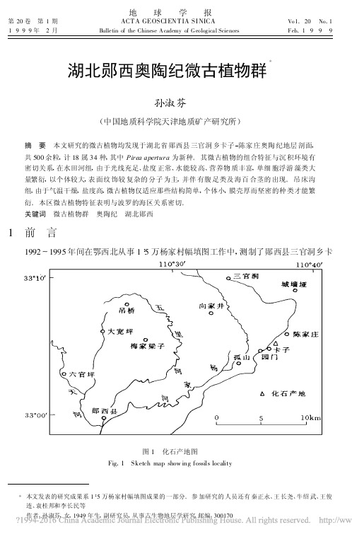 湖北郧西奥陶纪微古植物群_孙淑芬