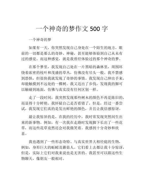 一个神奇的梦作文500字