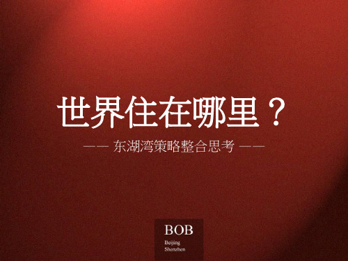 BOB尽致-北京东湖湾项目策略整合策略终极提案（最全版）-184PPT