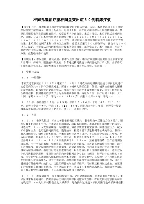 椎间孔镜治疗腰椎间盘突出症60例临床疗效