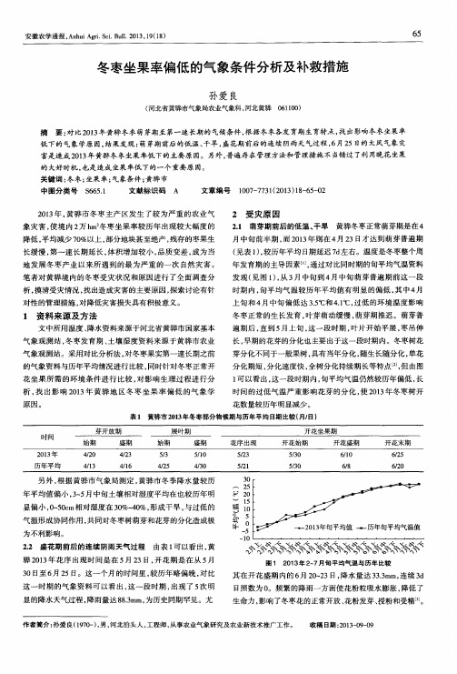 冬枣坐果率偏低的气象条件分析及补救措施