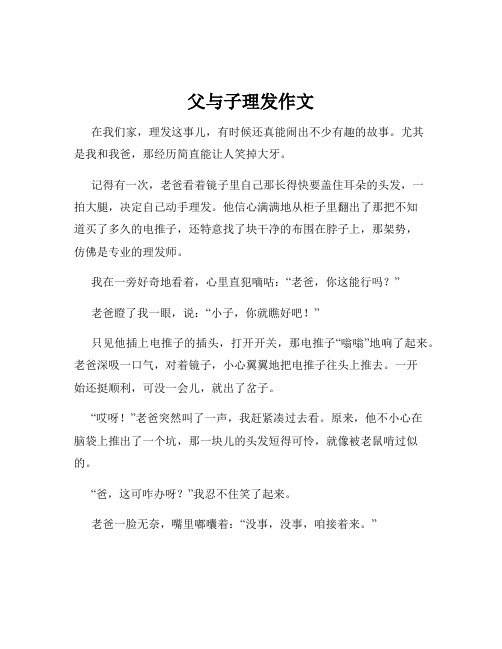 父与子理发作文