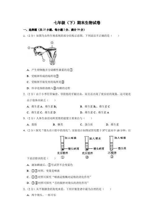 期末测试卷3 2020-2021学年七年级下学期生物期末试题(人教版)