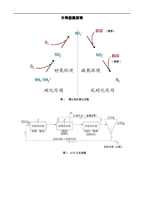 生物脱氮除磷原理