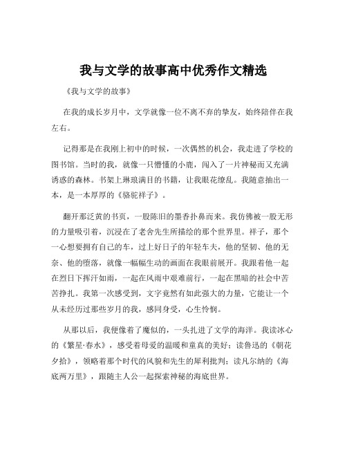 我与文学的故事高中优秀作文精选