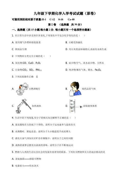 九年级下学期开学考试化学试题(四川省自贡市专用)(原卷+解析)