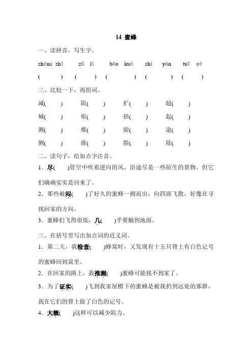 人教版三年级语文上册14、蜜蜂 课时训练