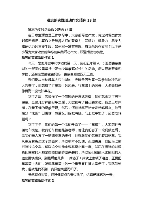 难忘的实践活动作文精选15篇