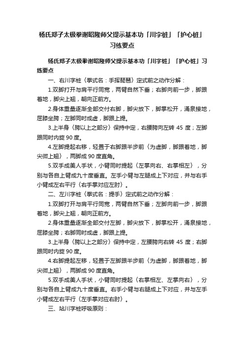 杨氏郑子太极拳谢昭隆师父提示基本功「川字桩」「护心桩」习练要点