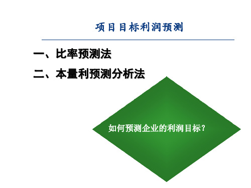 项目目标利润预测