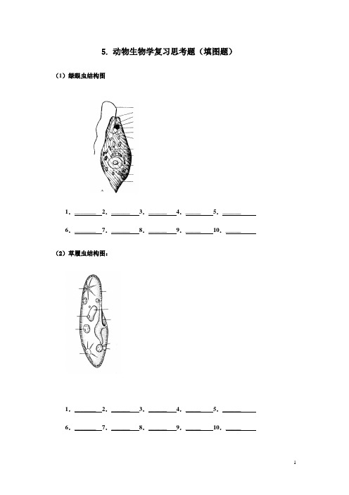 5. 动物生物学复习思考题(填图题)