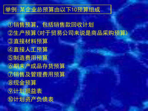 预算编制案例共30页