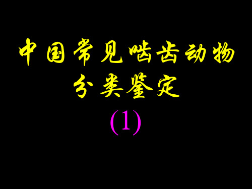 中国常见啮齿动物分类鉴定(1)