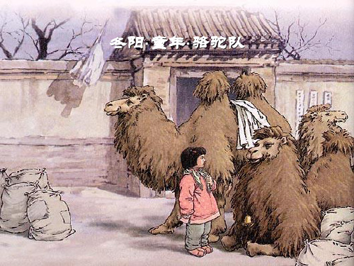 2021完整版《冬阳·童年·骆驼队》PPT课件3