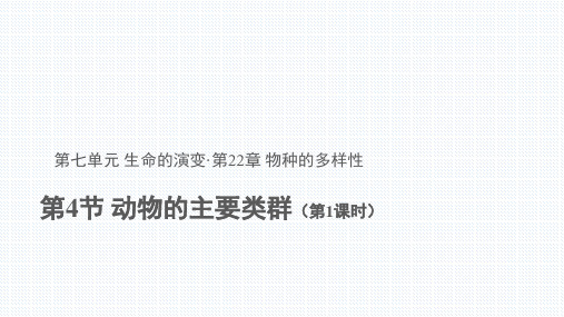 北师大版生物八年级下 第4节 动物的主要类群 第1课时 课件