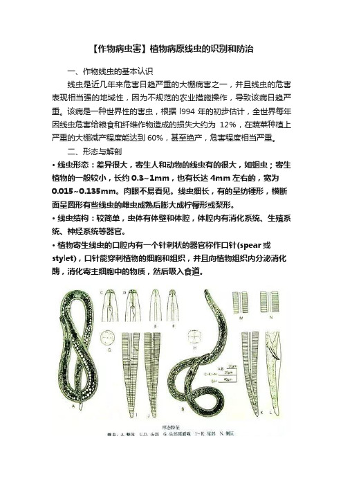 【作物病虫害】植物病原线虫的识别和防治