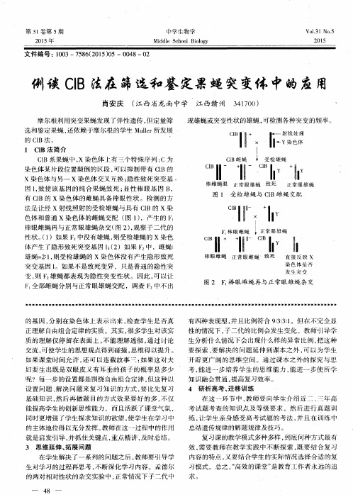 例谈CIB法在筛选和鉴定果蝇突变体中的应用