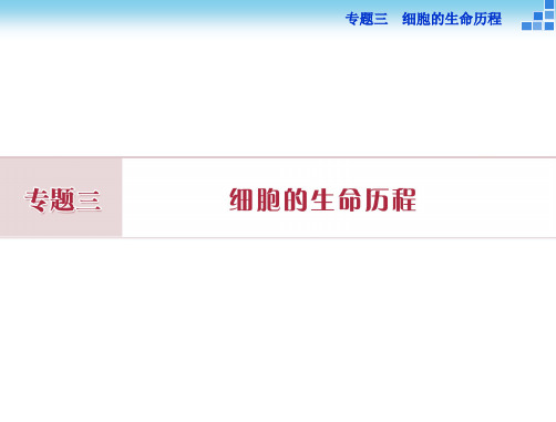 专题三(3.1)细胞的增殖和受精作用