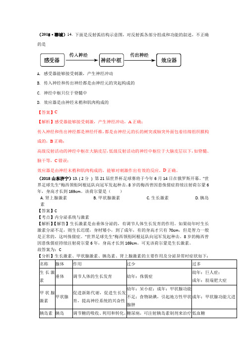 2018中考生物真题分类汇编——人体生命活动的调节