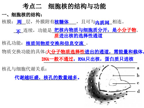 高中生物课件-2.1.2细胞核