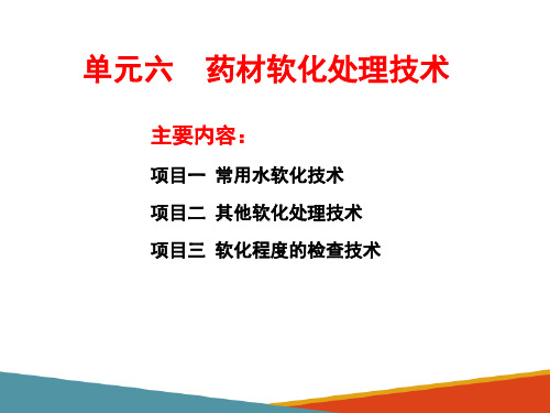 软化处理技术—其他软化处理技术(中药炮制技术课件)