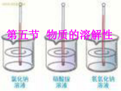 浙教版科学八年级上册1.5物质的溶解-物质的溶解性课件